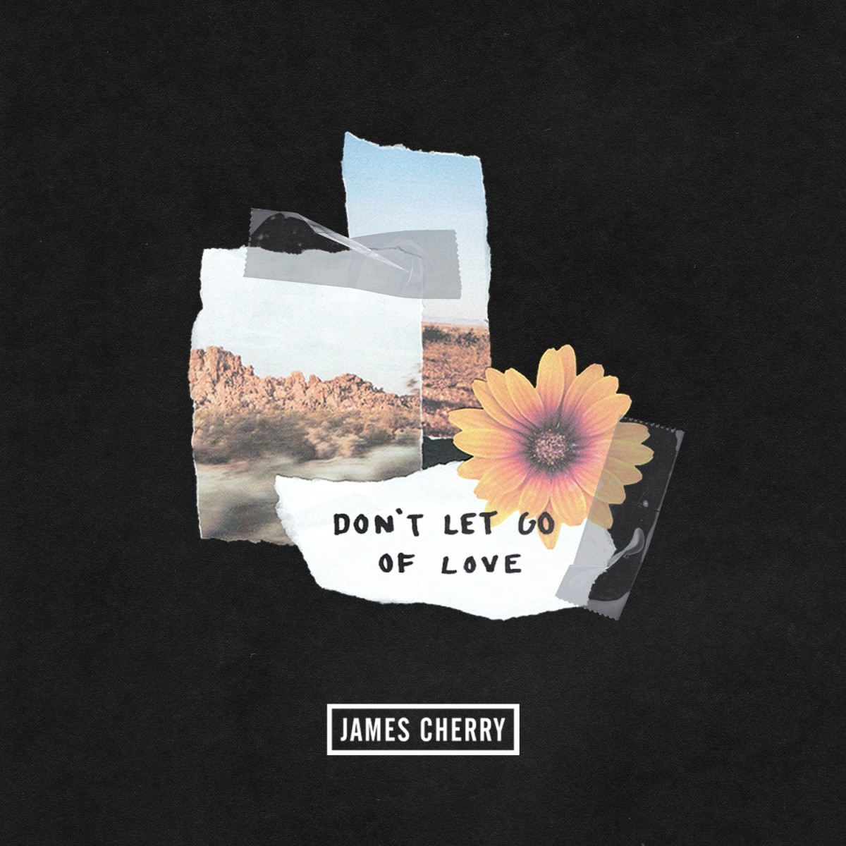 Don't Let Go of Love – James Cherry