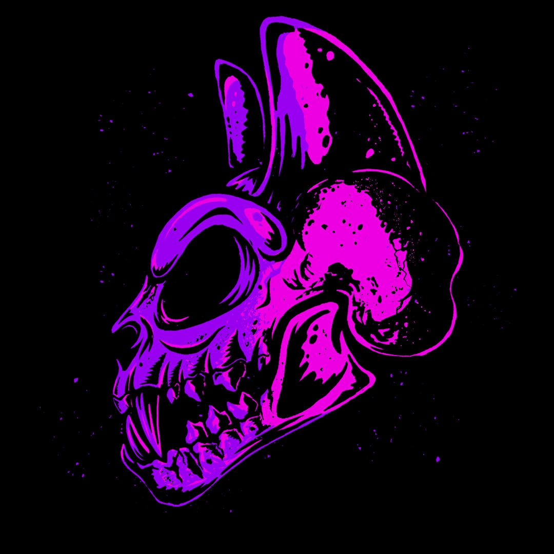 Darci - Toss Up (Official Lyric Video)