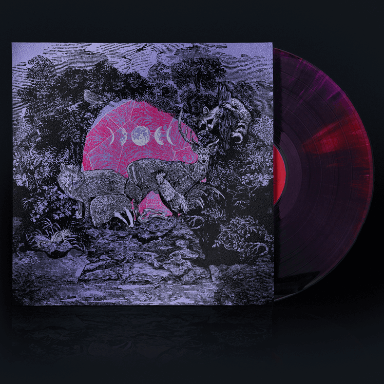 Album Artwork - Jake Bugg