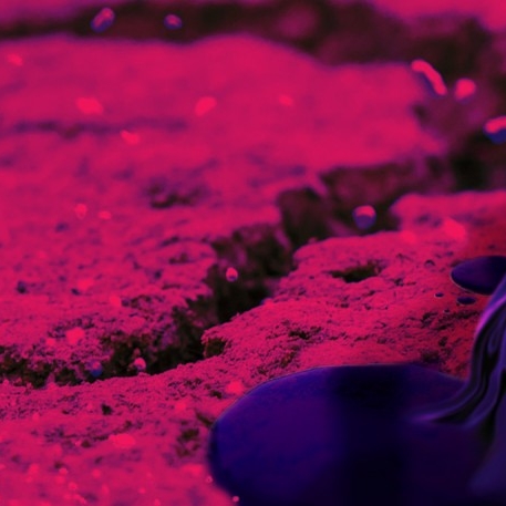 Branding for Noqturnal Musik