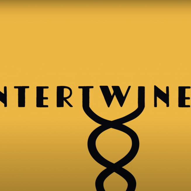 Eloise - Intertwined