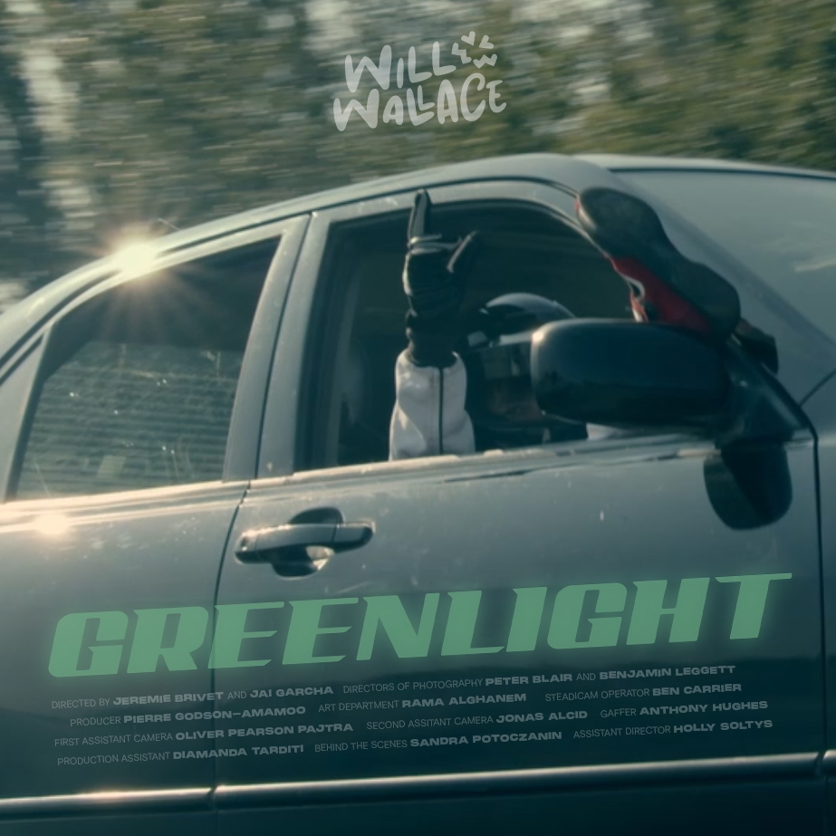 Will Wallace ft. Rachelle Rhienne - Greenlight