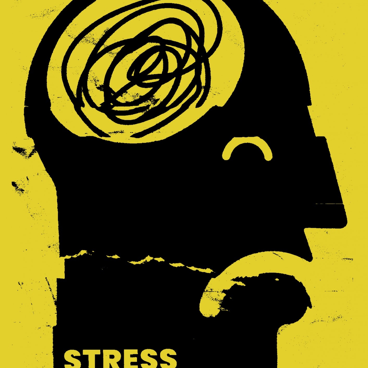 Various Illustration