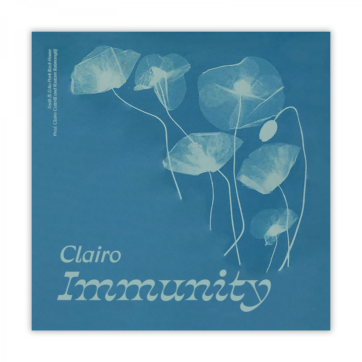 "Immunity" — Album Concept Design