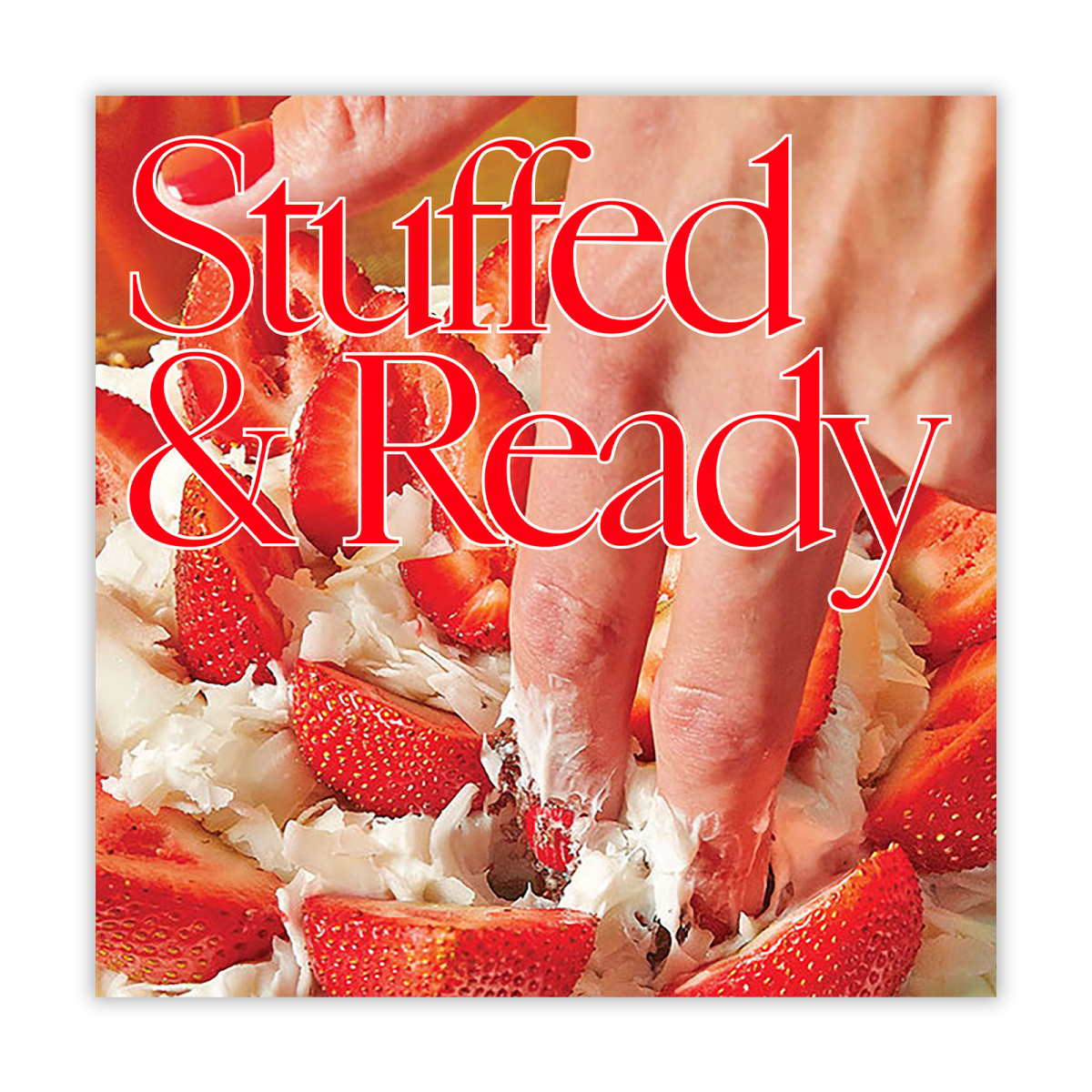 "Stuffed and Ready"  — Album Concept Design