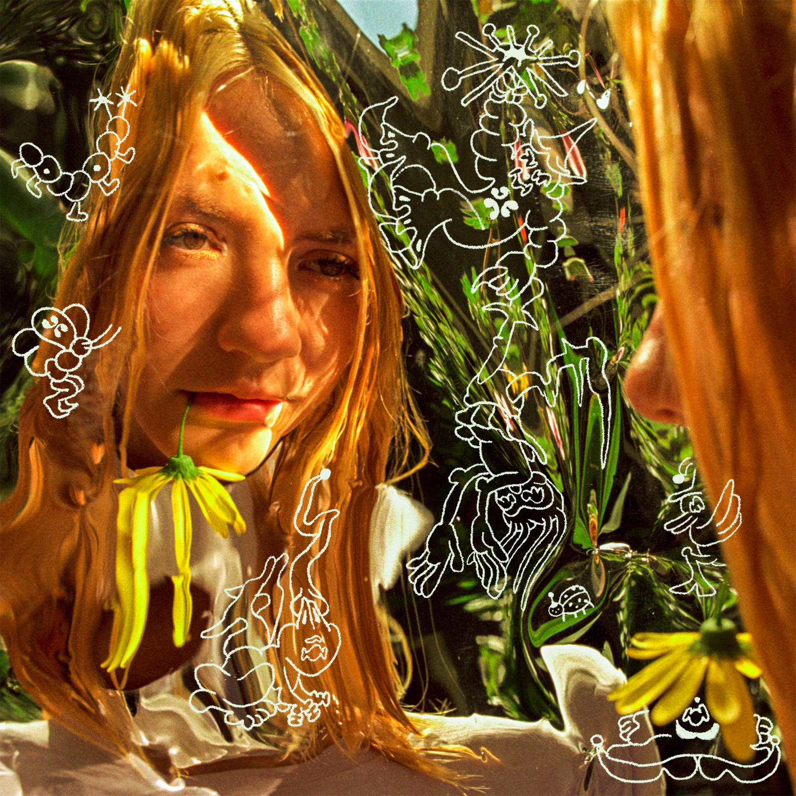 Dora Jar Digital Meadow