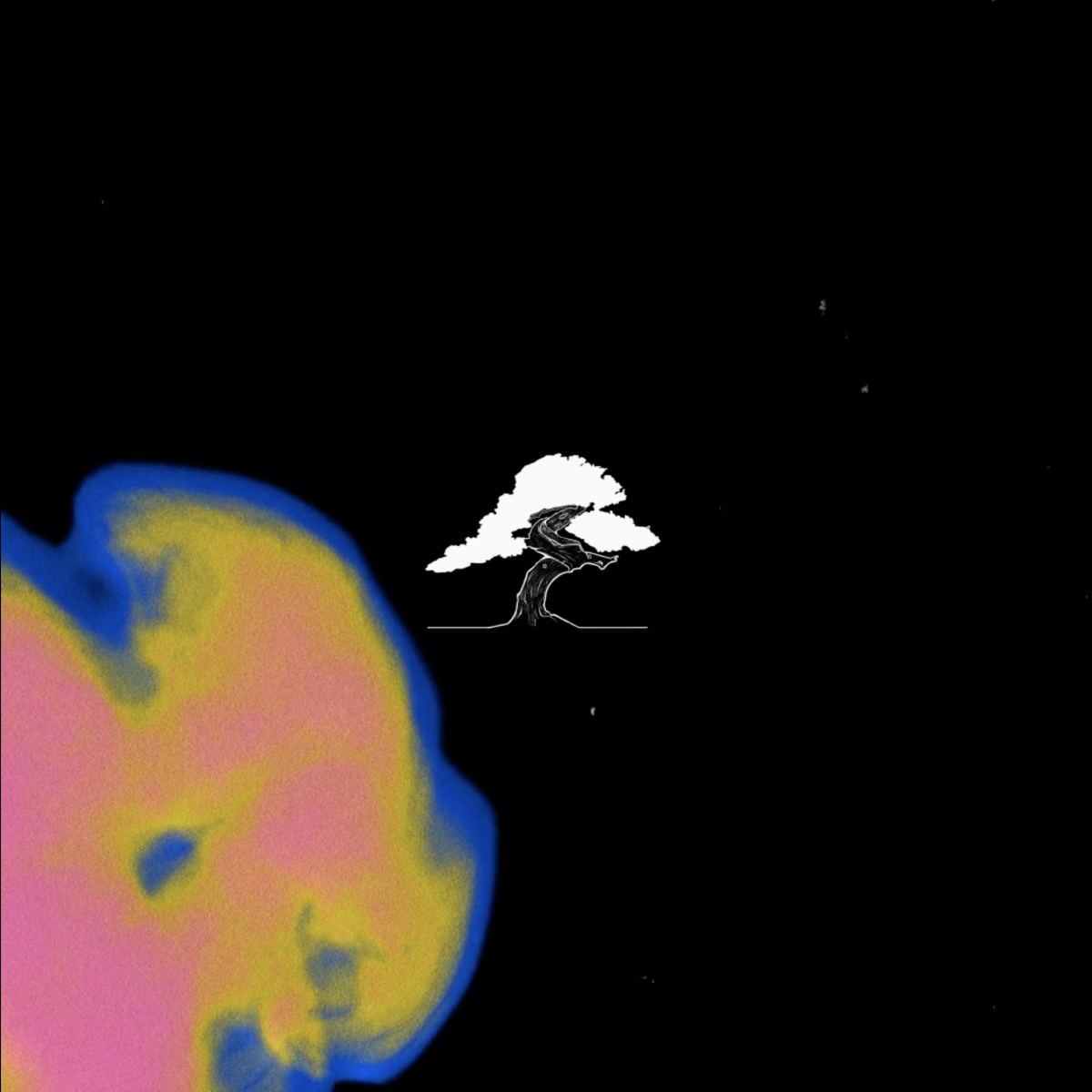 China White x Corsica Studios