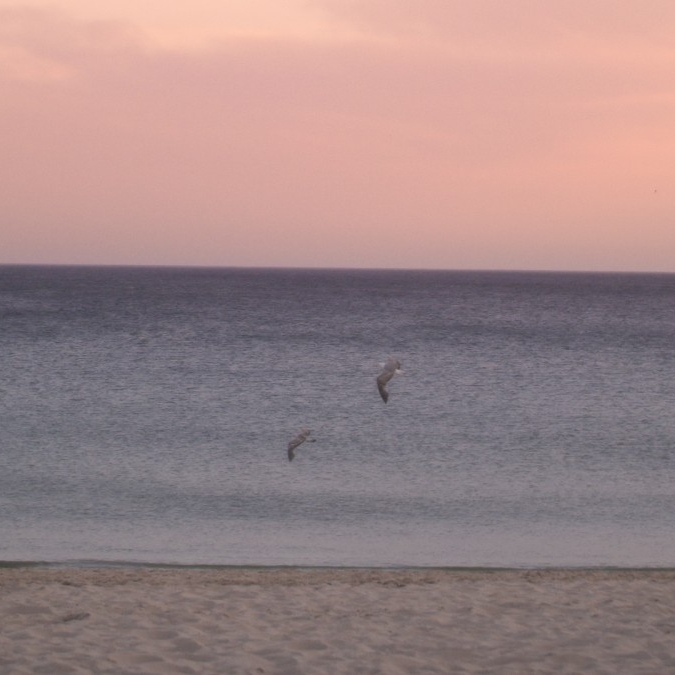 AMiR - Freak Of Nature