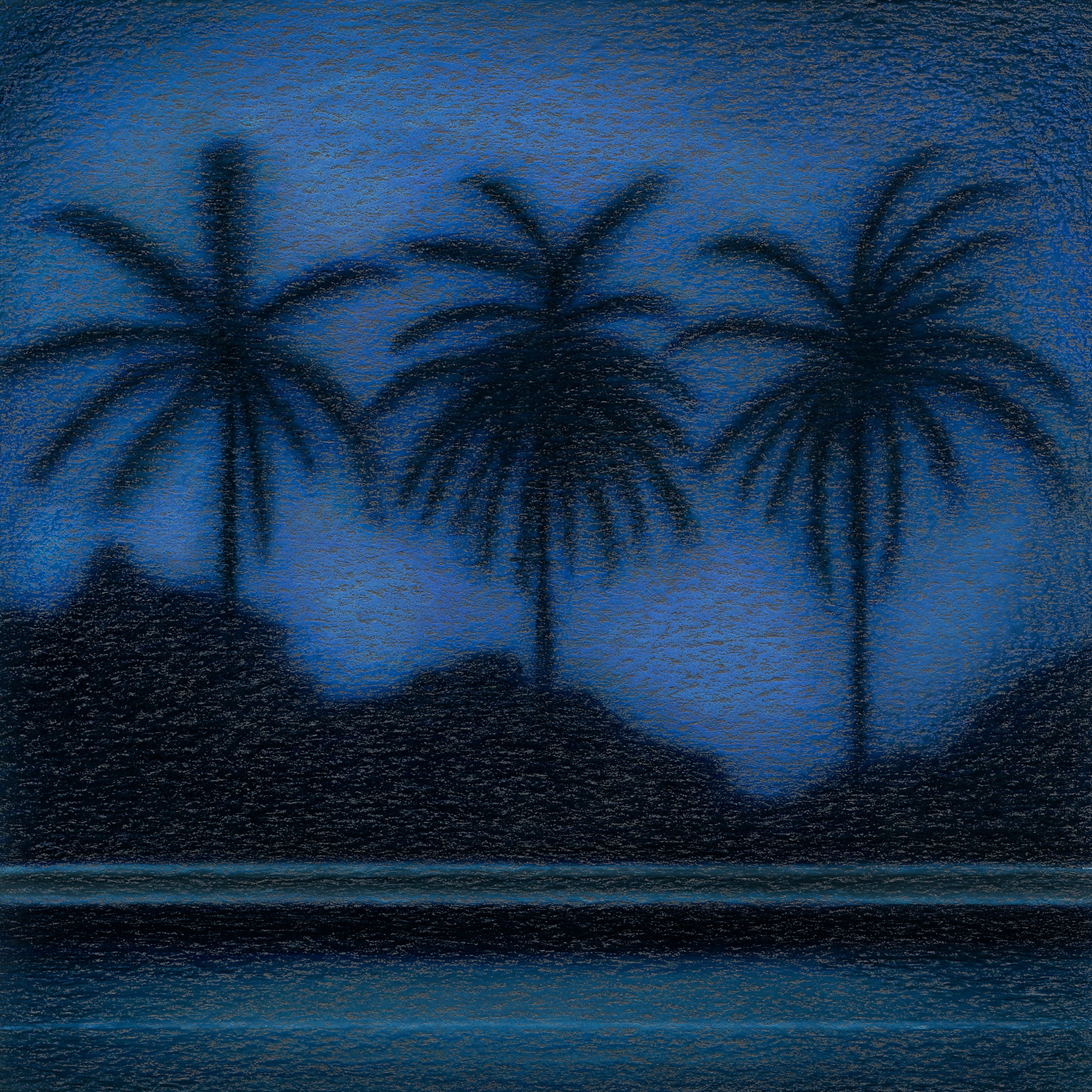 Night Palms