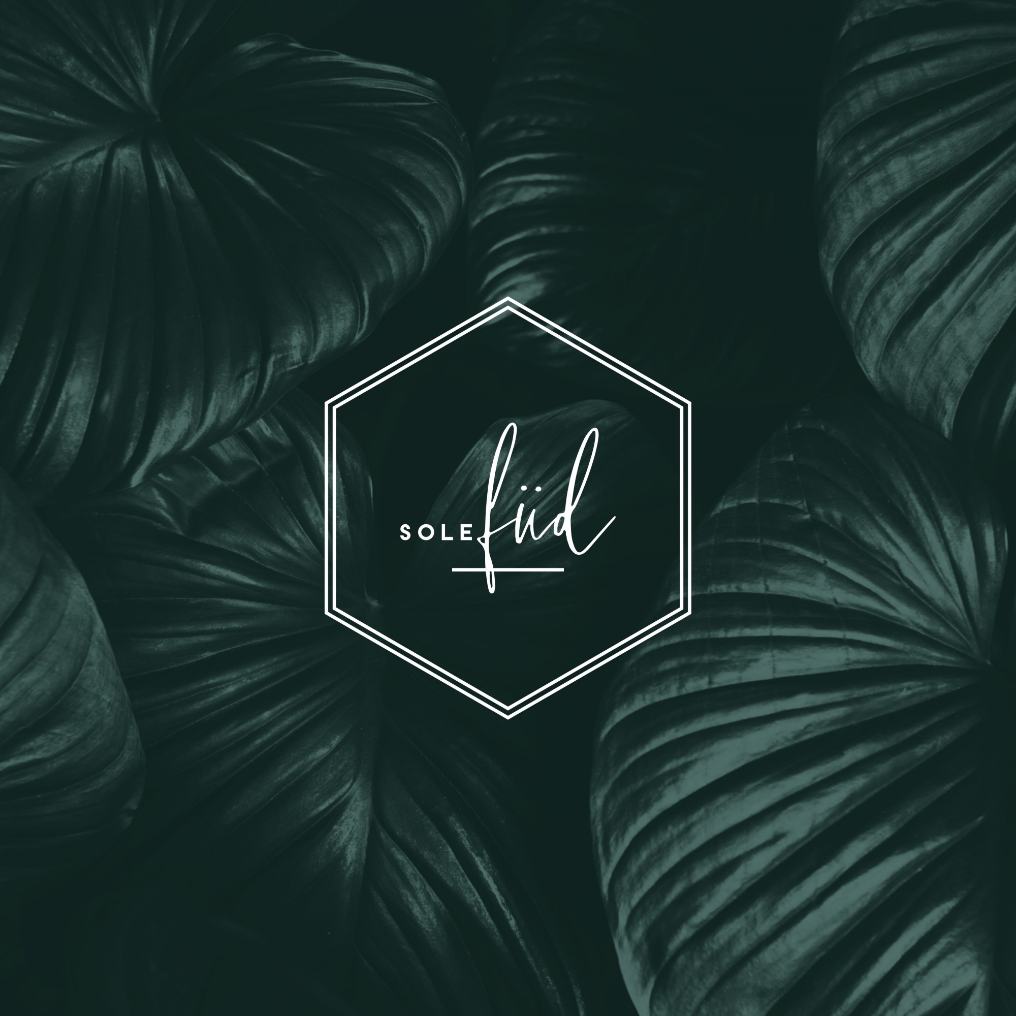 Logo & Branding for Sole Füd