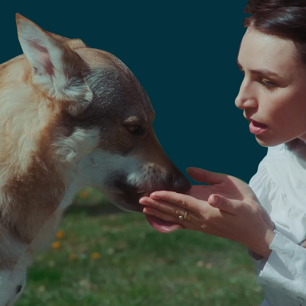 Hunting (Fashion film)
