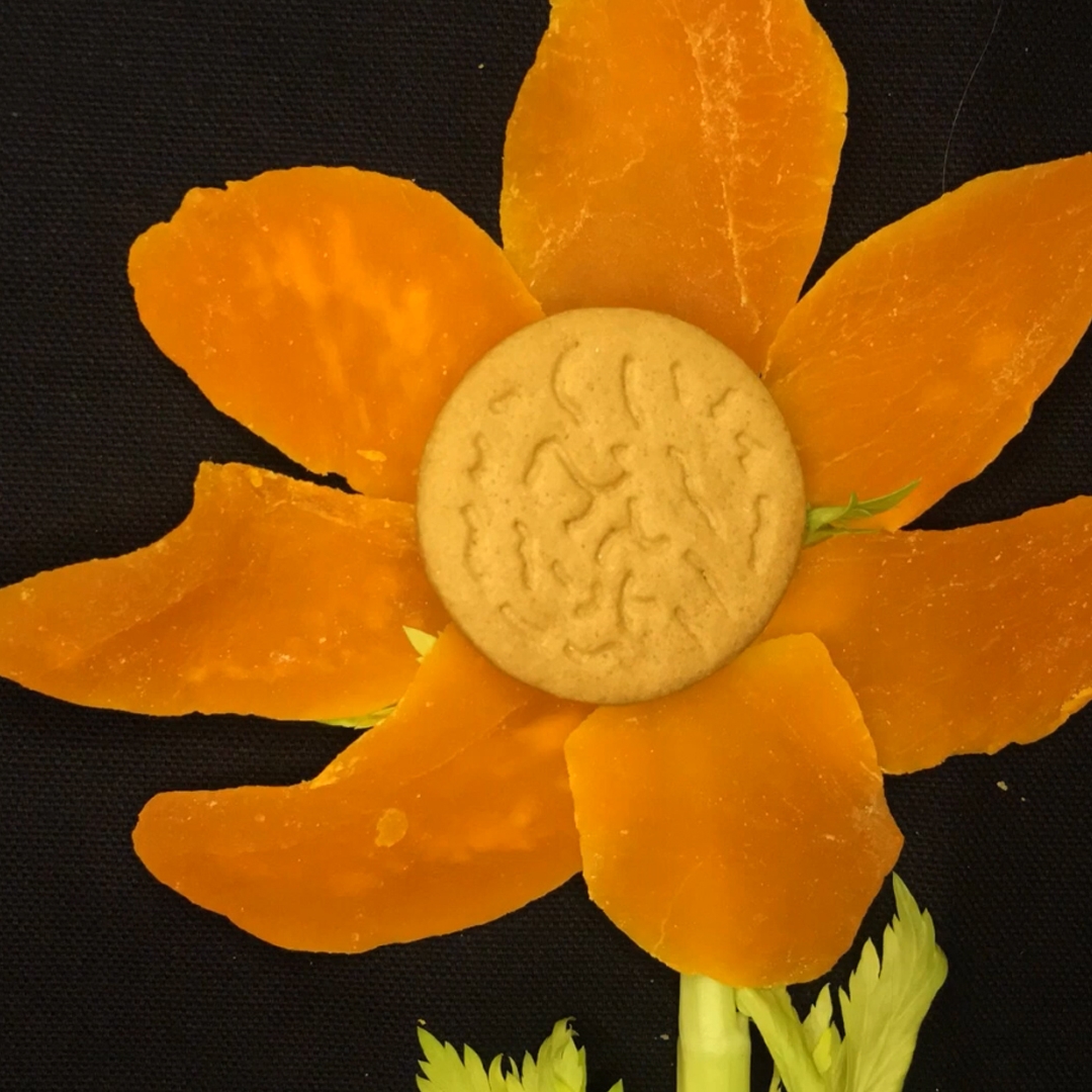 Flower by Matt McLaughlin migglefiend.com