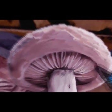 Preview image for the video "HamsandwicH - Satellite".