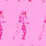 Preview image for the video "Animation".
