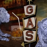 Preview image for the video "Monkey".