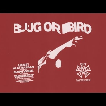 Preview image for the video "Video".