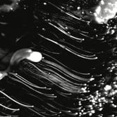 Preview image for the video "Boundless".