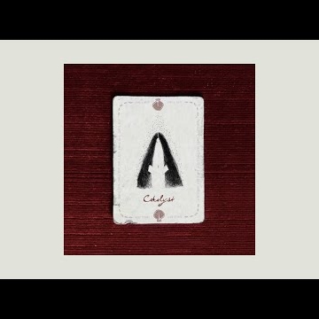 Preview image for the video "Sophie Reid - Catalyst".