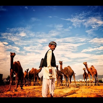 Preview image for the video "Pushkar - The Culture".