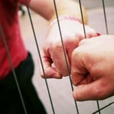 Preview image for the video "Live photography for Various artists by ro_murphy".