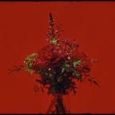 Preview image for the video "Plinio - Bach BWV974".