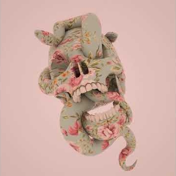 Preview image for the video "Skull Flower".