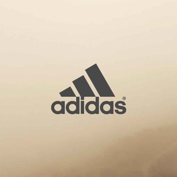 Preview image for the video "adidas TERREX".