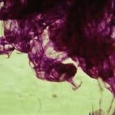 Preview image for the video "Her Last Wave by The Go! Team".