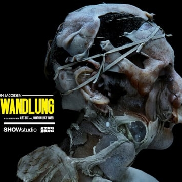 Preview image for the video "Die Verwandlung – SHOWstudio".