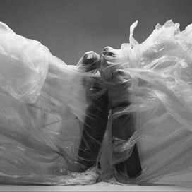 Preview image for the video "FOES: Beautiful Fiction".