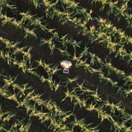 Preview image for the video "Video Editing for Quika by Skyland Films".