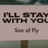 Preview image for the video "Son Of Fly - I'll Stay With You".