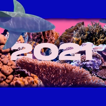 Preview image for the video "Showreel 2021 - Oriane Rondeau".