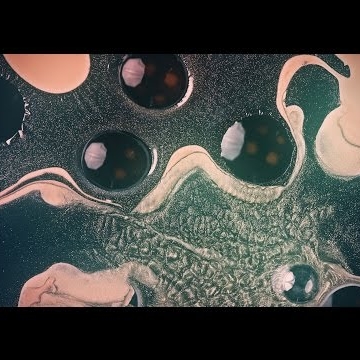 Preview image for the video "Music video for The comet is coming by Morgan".