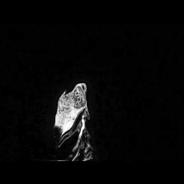 Preview image for the video "Obsimo - Lucide [AUDIO VISUALISER]".