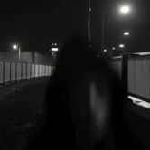 Preview image for the video "T.H<E>M.".