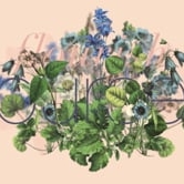 Preview image for the video "How To Cheer Yourself Up".