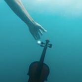 Preview image for the video "Hipertimesia".