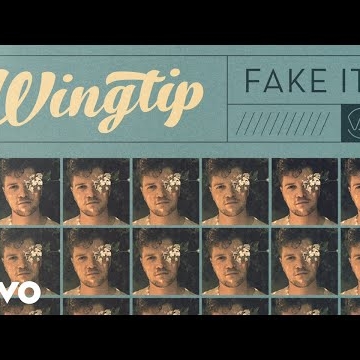 Preview image for the video "Wingtip Visualizer".