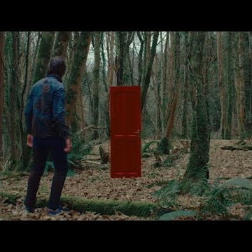 Preview image for the video "In My Fold - Gypsy Moth Control ".