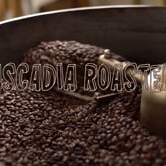 Preview image for the video "Video".