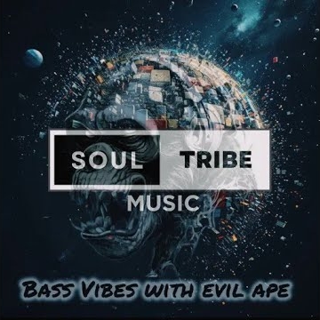 Preview image for the video "Soultribe Music Bassvibes".
