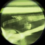 Preview image for the video "BILLIONAIRES BOYS CLUB - PARIS 2020".