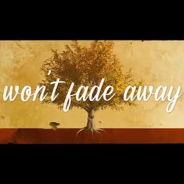 Preview image for the video "Twiddle - Collective Pulse (Official Lyric Video)".