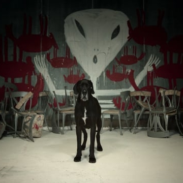 Preview image for the video "Black Chemicals".