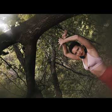 Preview image for the video "Video".