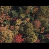 Preview image for the video "BMW Apprenticeships".