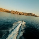 Preview image for the video "DLT X Pollen ".