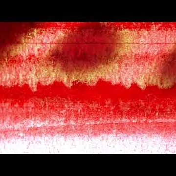 Preview image for the video " Tourist - EST (Official Visualizer) ".