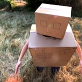 Preview image for the video "The Robotanist".